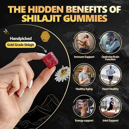 Gomitas de Shilajit puro